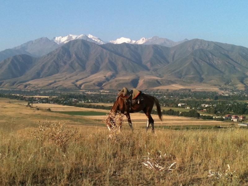 20110722_Bishkek 045.JPG